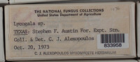 Image Associated With the Occurence